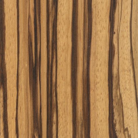 Zebrawood (sealed) Canadian Woodworking, Zebra Hide, Saw Wood, Zebra Wood, Wood Dust, Petrified Wood, Scroll Saw, Wood Texture, Wood Species