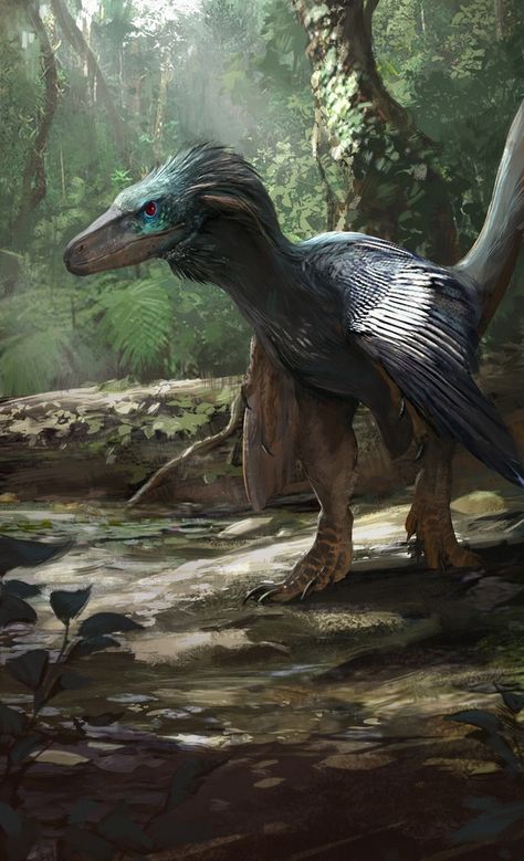 Balaur bondoc package art by Jonathan Kuo' Fantasy Animals Realistic, Feathered Dinosaurs, Prehistoric Wildlife, Prehistoric Dinosaurs, Dinosaur Drawing, Dinosaur Illustration, Prehistoric World, Jurassic World Dinosaurs, Ark Survival Evolved