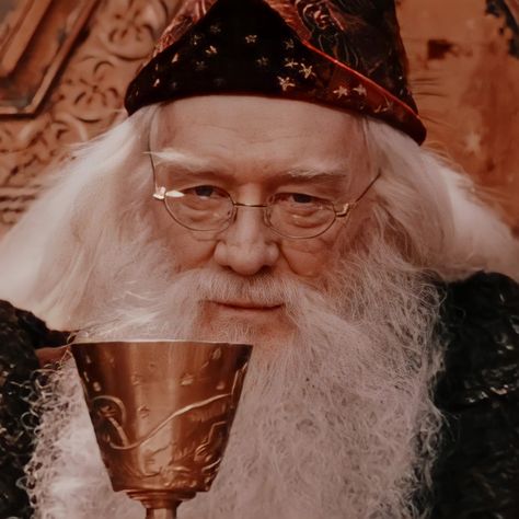 ☁️: albus dumbledore || icon || harry potter films || richard harris Albus Dumbledore Aesthetic, Icon Harry Potter, Richard Harris, Gryffindor Aesthetic, Harry Potter Films, Albus Dumbledore, Ron Weasley, Harry Potter Characters, Harry Potter World