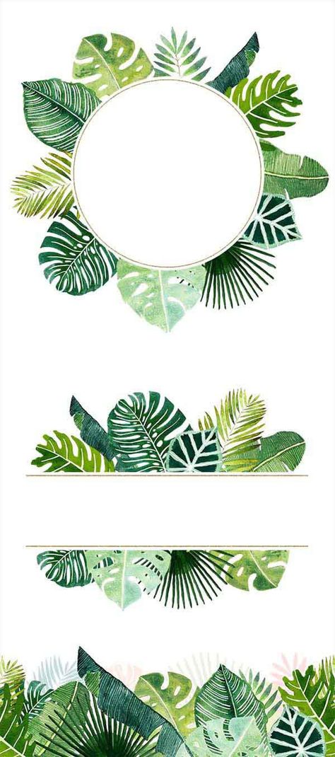 With this amazing hawaii hand painted design collection you can create your unique, tender and creative DIY design in tropical jungle style. This collection ... Tropical Leaf Background, Tropical Frames, Motif Jungle, Idee Cricut, Leaf Clipart, Plant Drawing, Flower Backgrounds, Tropical Leaves, Flower Frame