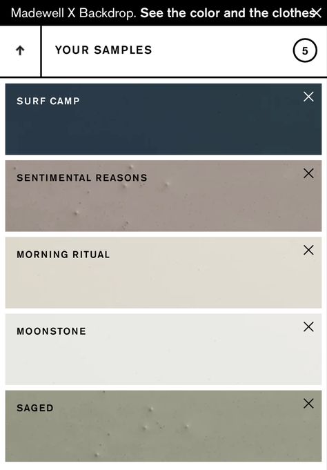 Backdrop Paint Color, Surf Camp Paint, Backdrop Paint, Surf Camp, Paint Color Palettes, Morning Ritual, Paint Color, Paint Colors, Color Palette