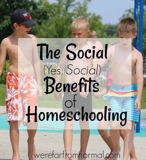 social benefits of homeschooling Build Friendships, Benefits Of Homeschooling, Tomato Nutrition, People Dont Understand, Homeschool Inspiration, Pickle Juice, Homeschool Planning, Homeschool Organization, Cardiovascular System