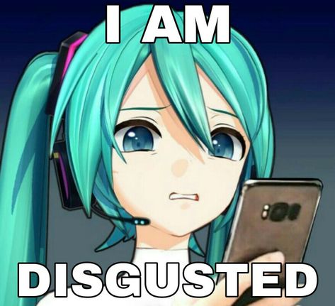 Image Meme, Miku Hatsune Vocaloid, Vocaloid Funny, Vocaloid Characters, Memes Anime, Silly Images, Anime Meme, Very Funny Pictures, Really Funny Pictures