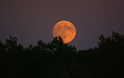 Halloween Aesthetic Horizontal, Harvest Moon Aesthetic, Cordelia Carstairs, Full Harvest Moon, Fall Moon, September Wallpaper, Autumn Moon, Orange Moon, Big Moon