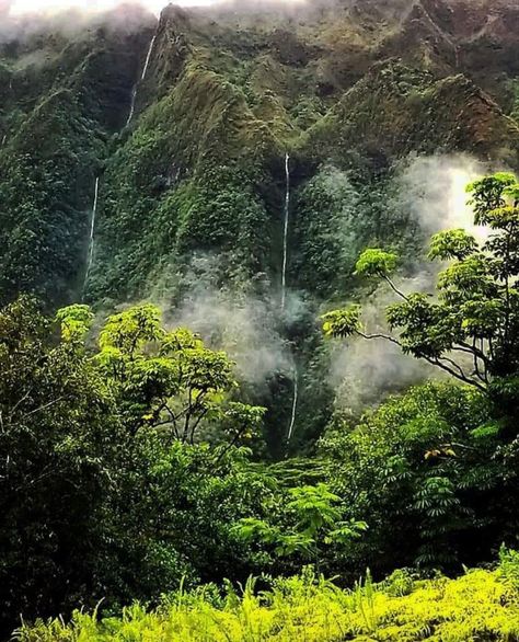 Koolau Mountains, Oahu - 2020 Koolau Mountains, Hawaiian Islands, Oahu, Hawaii, Canning, Water