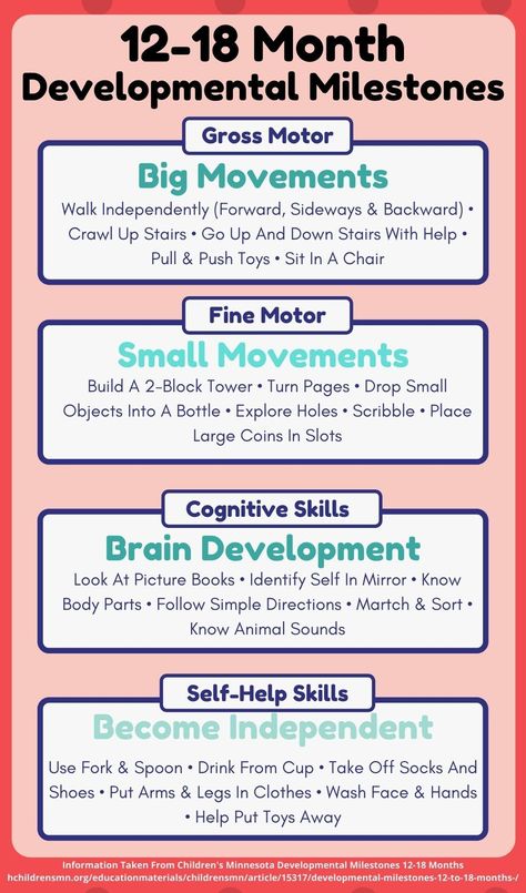 Milestones 12-24 Months, Gross Motor Activities For 12-24 Months, Gross Motor Skills For Infants, 12-24 Month Activities, Nannying Activities, Speech Milestones, Montessori Works, Activities For One Year Olds, Milestone Chart