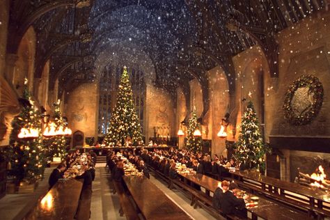 99+ Funny Zoom Virtual Backgrounds to Download | Man of Many Hogwarts Christmas Wallpaper Desktop, Harry Potter Christmas Background, Hogwarts Christmas Wallpaper, Harry Potter Weihnachten, Harry Potter Yule Ball, Hogwarts Great Hall, Film Harry Potter, Christmas Wallpaper Hd, Christmas Desktop Wallpaper