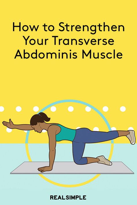 Transverse Abdominal Exercises, Transverse Abdominis, Exercise Abdomen, Rectus Abdominis, Ab Muscles, Simple Workouts, Effective Ab Workouts, Core Strengthening, Stomach Muscles