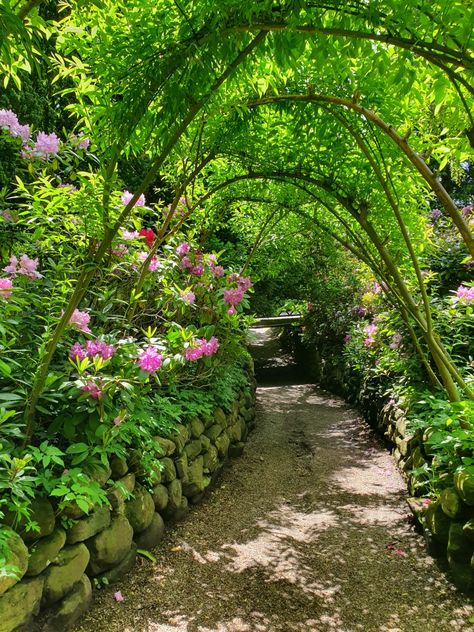 This walkway is gorgeous and located in Egeskov Castle's garden in Denmark. Beautiful Countryside, Castle Garden, Walkway, Denmark, Castle, Country Roads, Road, Green