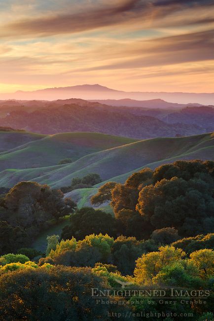 Sunset over the green east bay hills (looking toward Mount Tamalpais in distance) from Briones Regional Park, Contra Costa County, California Picture Sunset, Green Wings, Mount Tamalpais, East Bay, Rolling Hills, Alam Yang Indah, Foto Inspiration, Nature Aesthetic, Best Photographers