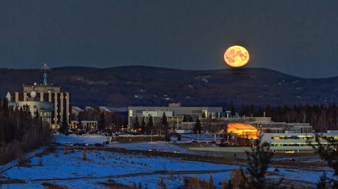 University of Alaska - Fairbanks. What an awesome picture! University Of Alaska Fairbanks, Alaska Fairbanks, Moving To Alaska, Life Vision, Life Vision Board, Landscape Photography Tips, College Life, Solar Lights, Solar Panels