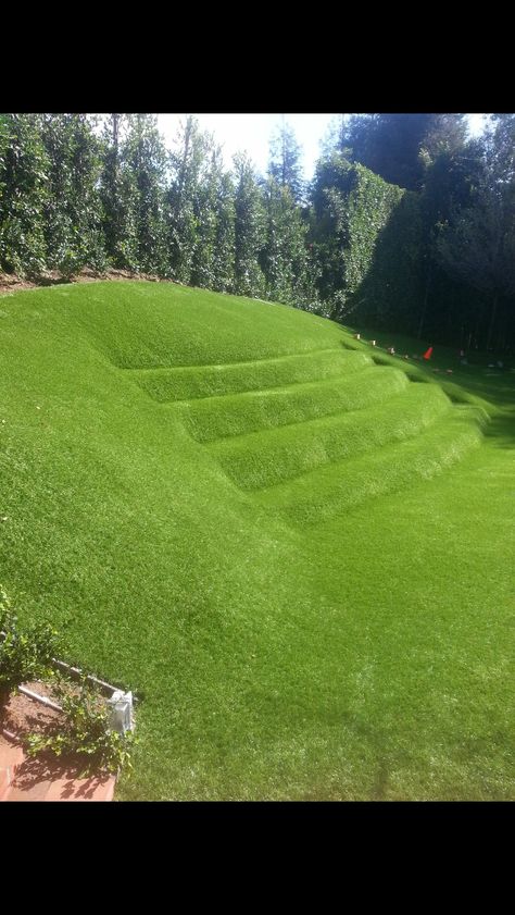 Grass Stage Design, Outdoor Grass Seating Area, Grass Conversation Pit, Hobbit Grass Lawn, Grass Terrace, Amphitheater Landscape Architecture, Grass Mound Seating, Green Amphitheater, Giant Backyard