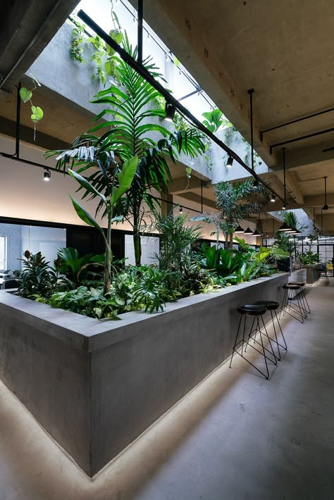 to focus and highlight the presence of the green organic volumes, architectural elements are left raw, minimal and monochromatic. Jungle Cafe, Tropical Lounge, Nature Office, Green Factory, Game Office, Green Cafe, Commercial And Office Architecture, Cafe Garden, Eco Architecture