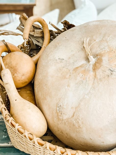 One of my favorite things for fall decorating is using dried gourds! Check out these 5 easy and simple ways to use and style dried gourds for fall decor this year! ​#robynsfrenchnest #autumndecor #foyerdecor #entrywaydecor #woodtones #driedgourds #fallgreenery #fauxgreenery #breadboard #bloghop Gourds Decor, Vintage Cubby, Everyday Centerpiece, Dried Gourds, Longest Yard Sale, Fall Mantel Decor, Farmhouse Dining Room Lighting, Coffee Table Vignettes, Decorate For Fall