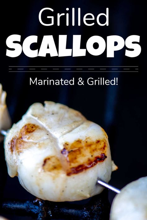 Grilled Scallops is a perfect seafood meal that is grilled for just a few minutes, and tastes phenomenal. A light citrus and honey marinade is all it takes to make this new family favorite. via @kitchen laughter Scallop Marinade, Seafood Butter, Honey Marinade, Grilled Scallops, Grilled Seafood Recipes, Gluten Free Main Dishes, Fried Fish Recipes, Marinade Recipes, Fun Treats