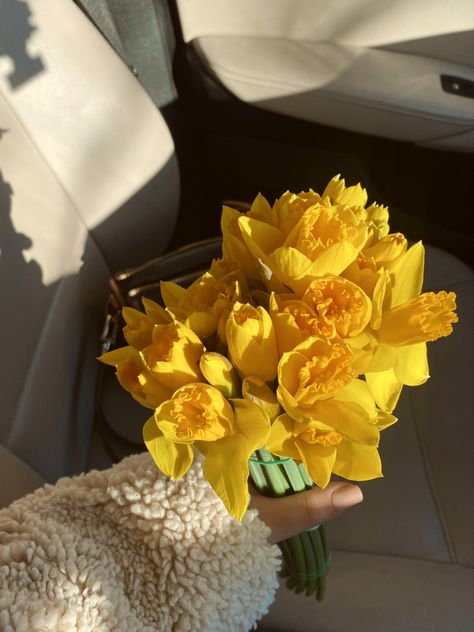 Aesthetic, aesthetic girl, daffodils, spring flowers, flower aesthetic, flowers in cars, 🌼 Daffodils Aesthetic, Daffodil Bouquet, Aesthetic Flowers, Nothing But Flowers, Spring Is In The Air, Parts Of A Plant, Aesthetic Aesthetic, Adele, Daffodils