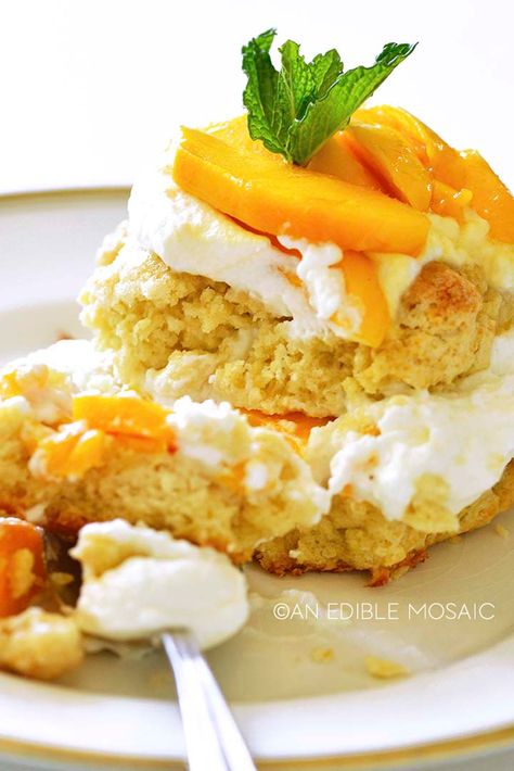 homemade fresh mango shortcake recipe Mango Shortcake, Shortcake Recipes, Fruit Topping, Summer Shoot, Short Cake, Shortcake Recipe, Mango Sorbet, Carrot Cake Cupcakes, Fruit Toppings