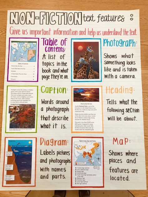 Text Features Anchor Chart, Capitalization Anchor Chart, Summarizing Anchor Chart, Fiction Text Features, Nonfiction Anchor Chart, Fiction Anchor Chart, Story Elements Anchor Chart, Suffixes Anchor Chart, Text Feature Anchor Chart