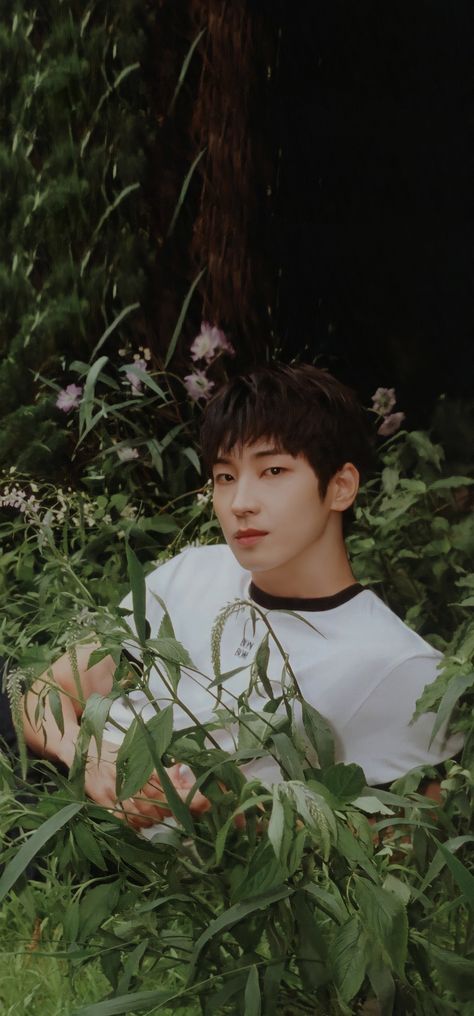 Wonwoo Green Wallpaper, Wonwoo Green, Wonwoo Wallpaper Boyfriend, Wonwoo Lockscreen, Wonwoo Wallpaper, Jisoo Seventeen, Photo Scan, Won Woo, Seventeen Going Seventeen