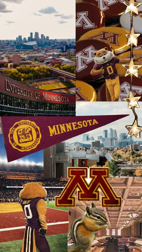 University Of Minnesota Aesthetic, Minnesota Aesthetic, Minnesota University, Happiness Aesthetic, Row The Boat, Vision 2024, 5 Year Plan, College Decor, Dream College