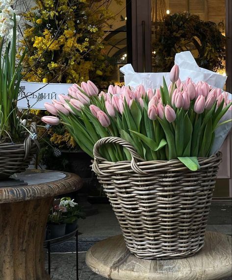 Basket Of Tulips, Tulip Basket, Basket Flowers, Tulips Flowers, Flower Basket, Diy Inspiration, Tulips, Flower Arrangements, Art Inspiration