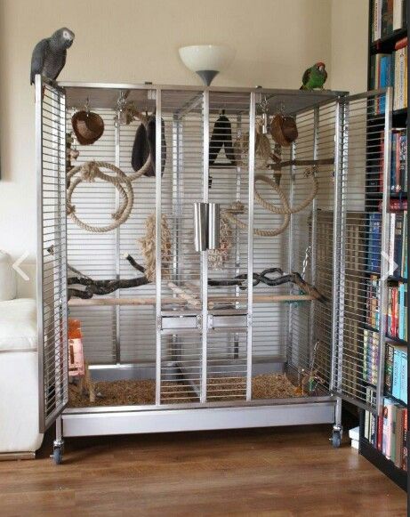 Villa Filou cage Macaw Cage Setup, Parrot Cage Decoration Ideas, Diy Macaw Cage, Pinjra Birds, Macaw Cage Ideas, Parrot Cage Ideas Design, Parrot Cage Setup, Bird Cage Setup, Bird Cage Ideas