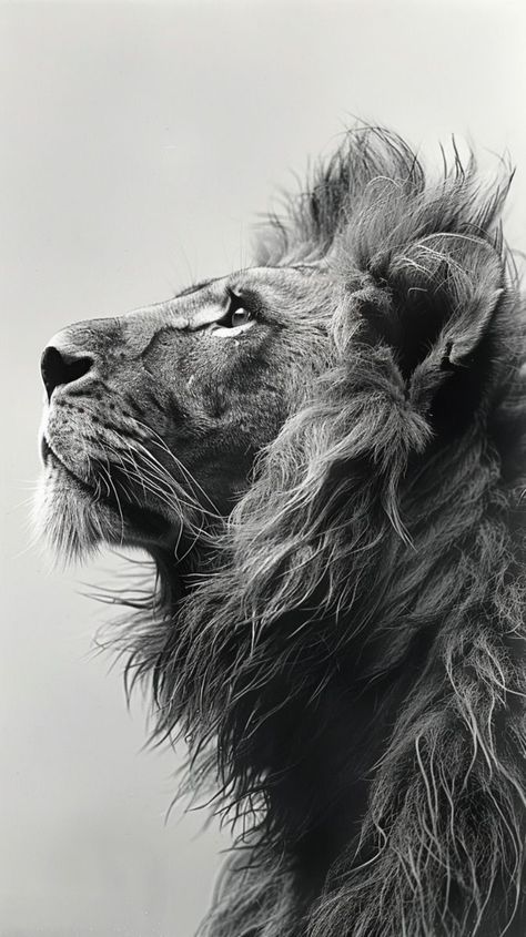 Black And White Photos Animals, Black And White Animal Pictures, Lion Black And White Photography, Lion Face Black And White, Lion Face Photography, Animal Reference Photos For Artists, Lion Side Profile, Lion Quote, Lion Black And White