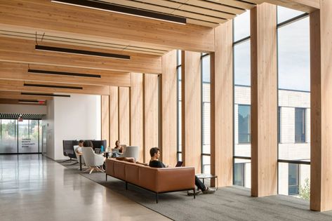 MGA creates mass timber buildings for forestry college in Oregon Mass Timber, Timber Architecture, Timber Ceiling, Timber Buildings, Wood Architecture, Oregon State University, Timber Structure, Timber Construction, Timber Cladding