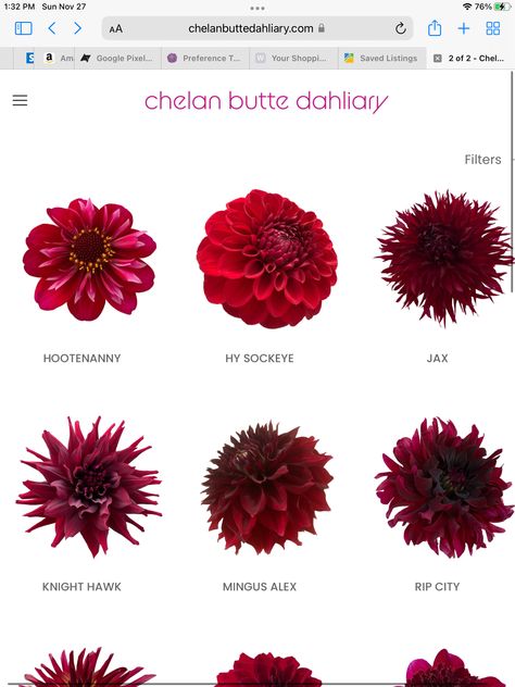 Dark Red Dahlia, Dahlia Tattoos, Red Dahlias, Dahlia Tattoo, Flowers Sketch, Garden Goals, Art Flowers, Wedding Dreams, Dahlia