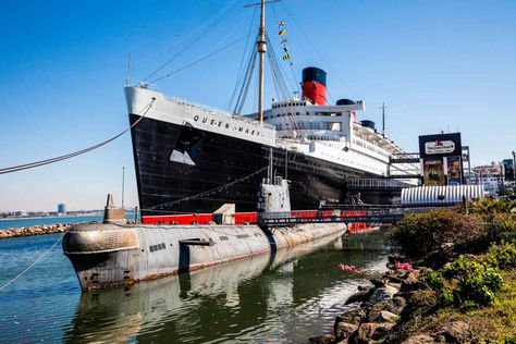 What you need to know about visiting the Queen Mary in Long BeacH. Including tips and how to know whether you really want to see it or not Queen Mary Ship, Best Facts, Shark Facts, Floating Hotel, Mary Tattoo, Abandoned Village, Ocean Liner, Disney Sea, Long Beach California