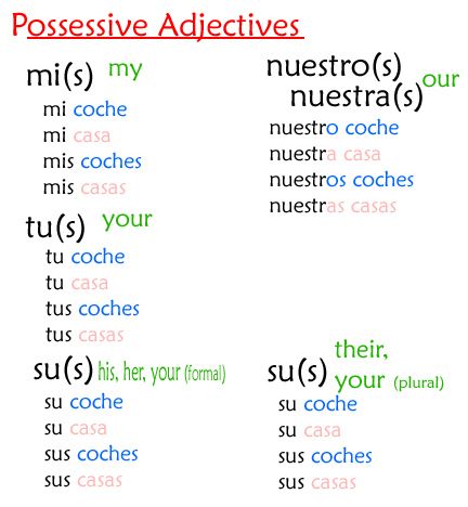 possessive adjectives copy Spanish Adjectives, Learning Spanish For Kids, Possessive Adjectives, Possessive Pronoun, Spanish Videos, Spanish Music, Elementary Spanish, Learning Printables, Spanish Grammar