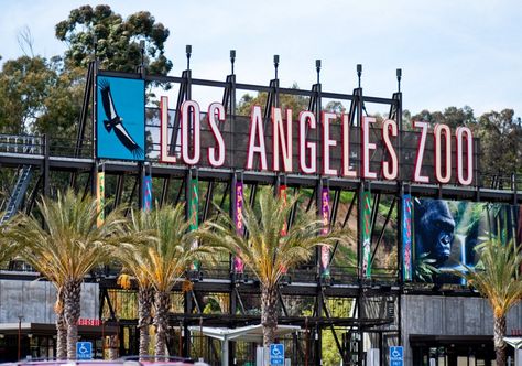 Los Angeles Vacation, Disneyland Ca, Los Angeles Zoo, California Attractions, Los Angeles Travel, Hollywood Boulevard, Visit Santa, Santa Clarita, Favorite Animals