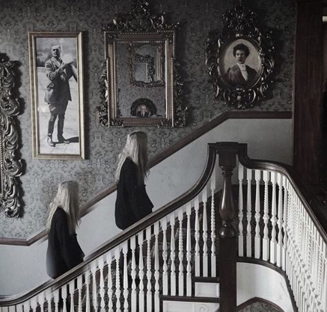 Narcissa Black, Rabastan Lestrange, Walburga Black, Ancient Houses, Black Sisters, Goth Home, Southern Gothic, Harry Potter Aesthetic, Noble House