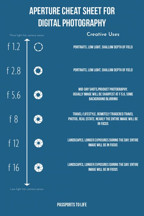 Photography Cheat Sheet: Aperture Settings for Different Applications What Is Aperture In Photography, Photography Manual Mode, Camera Manual Mode Cheat Sheet, How To Get A Blurry Background In Photos, F Stop Cheat Sheet, Aperture In Photography, How To Use Camera Photography Tutorials, F Stop Photography, Basic Photography Tips