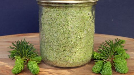 Spruce Tip Salt Recipe Spruce Tips Recipes, Nature Recipes, Medicinal Wild Plants, Common Garden Plants, Spruce Tips, Wild Food Foraging, Foraging Recipes, Edible Wild Plants, No Salt Recipes