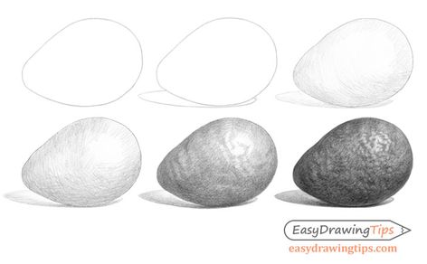 How to Draw an Avocado Step by Step - EasyDrawingTips Avocado Sketch Pencil, Avocado Pencil Drawing, Avocado Sketch, Shading Examples, Step By Step Sketches, Fruit Art Drawings, Shading Drawing, Sketching Tips, Beginner Art