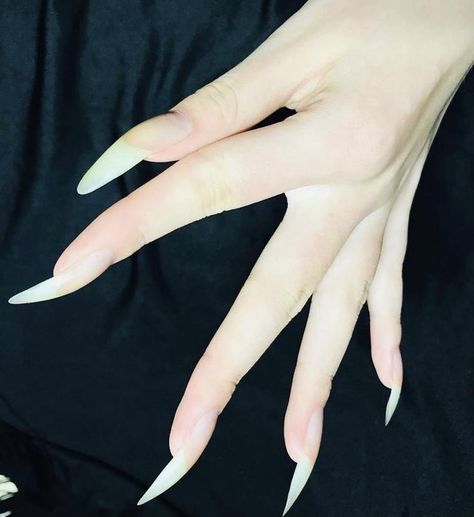 Nails One Color, Nails Pointy, Natural Nail Shapes, Nail Natural, Nails Round, Long Natural Nails, Long Fingernails, Gothic Nails, Claw Nails