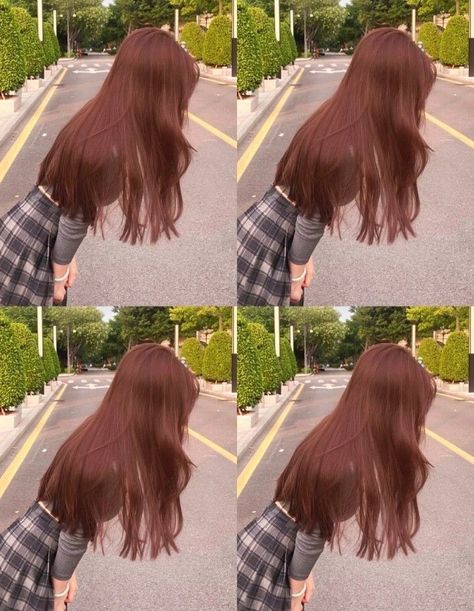 Strawberry Brown Hair Color, Pinkish Brown Hair, Strawberry Brown Hair, Orange Brown Hair, Brown Hair Color Shades, Ashy Hair, Hair Color Mahogany, Korean Hair Color, Hair Color Underneath