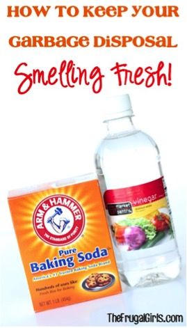 How to Keep Your Garbage Disposal Smelling Fresh How To Freshen Garbage Disposal, Diy Disposal Cleaner, Homemade Goo Gone, Garbage Disposal Cleaning, Garbage Disposal Cleaner, Clean Hacks, Disposal Cleaner, Kitchen Tricks, Random Tips