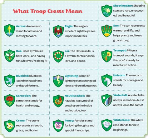 Girl Scout Traditions: What’s Your Troop Crest? | GSWOblog Bridging Ceremony Ideas, Girl Scout Brownie Badges, Girl Scout Daisy Activities, Girl Scout Camp, Bridging Ceremony, Girl Scout Bridging, Girl Scout Troop Leader, Brownie Badges, Girl Scouts Cadettes