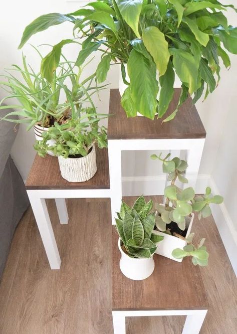 DIY Tiered Plant Stand Diy Tiered Plant Stand, Tiered Plant Stand, Garden Plant Stand, Corner Plant, Tall Plant Stands, Modern Plant Stand, Wooden Plant Stands, Support Plante, Garden Wallpaper