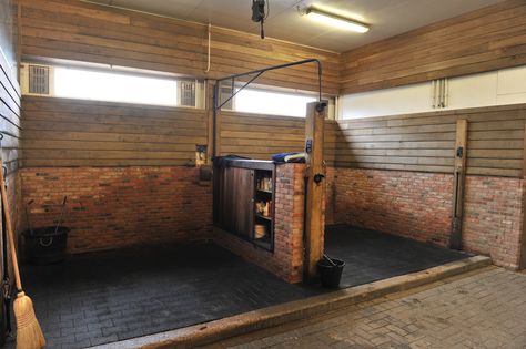 Wash box Stephex Stables Dream Barn Stables, Equestrian Barns, Horse Farm Ideas, Cattle Barn, Horse Barn Ideas Stables, Barn Stalls, Stable Ideas, Horse Barn Designs, Dream Stables