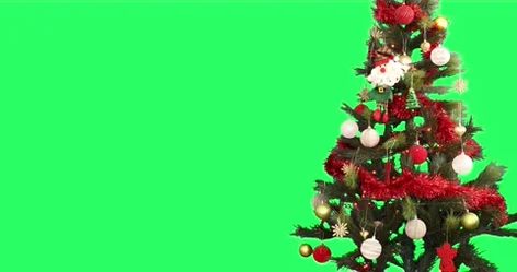 Xmas Tree At Green Screen Background 2 #AD ,#Tree#Xmas#Background#Green Xmas Background, Effects Animation, Background Green, Screen Background, Green Screen Backgrounds, Christmas Backdrops, Green Christmas Tree, Green Screen, Merchandise Design