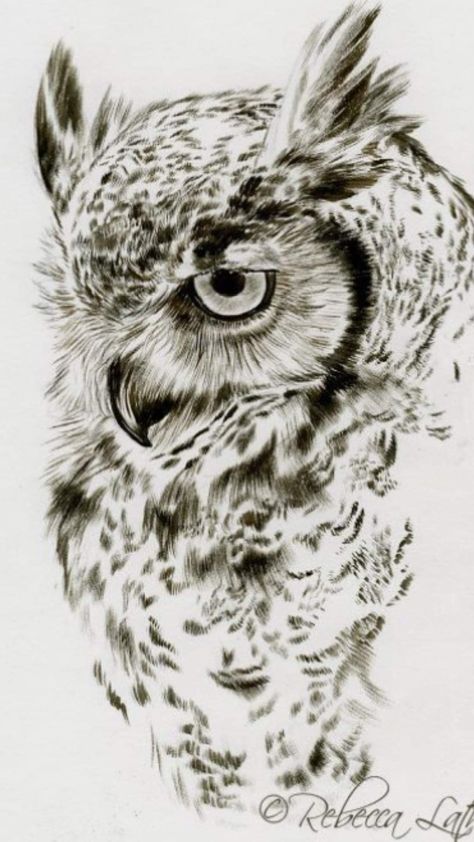 Infinity Tattoo With Feather, Owl Tattoo Drawings, Owl Sketch, Vogel Tattoo, Owl Watercolor, Owl Artwork, Pencil Drawings Of Animals, Owl Tattoo Design, Owls Drawing