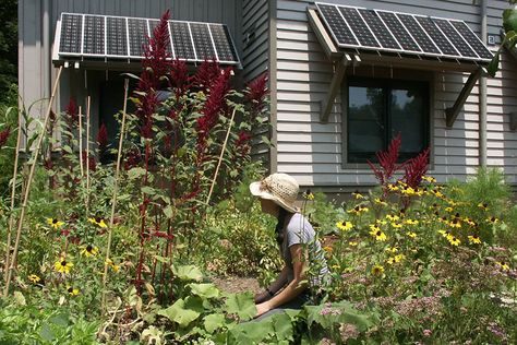 Asheville Architecture Services | Samsel Architects Green Architect, Student Dormitory, Residential Construction, Energy Efficient Homes, Mountain Homes, College Campus, Sustainable Energy, Environmental Design, Community Gardening