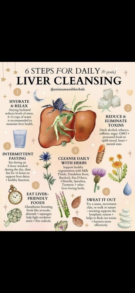 Liver Cleanse Diet Plan, Cleanse Diet Plan, Liver Cleanse Diet, Liver Cleansing, Liver Diet, Cleanse Diet, Dandelion Root, Liver Detox, Liver Health