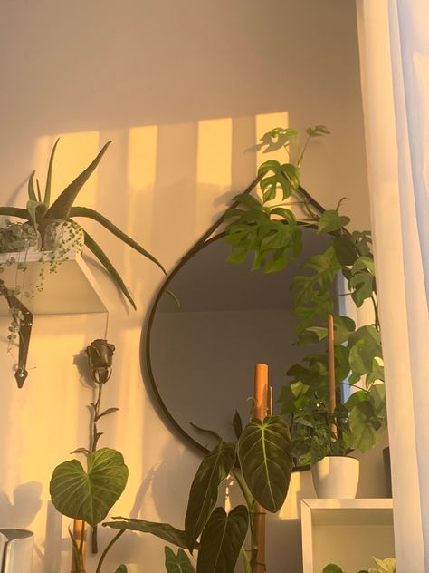 Plant Room Aesthetic, Monstera Minima, Philodendron Melanochrysum, Alevel Art, String Of Pearls Plant, Aesthetic Plants, Plant Room, Uni Room, Dream Office