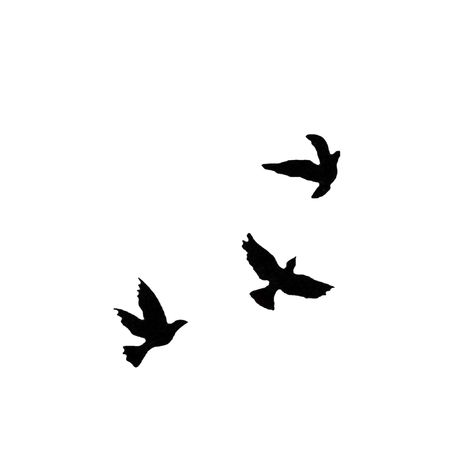 All Black Bird Tattoo, Shadow Bird Tattoo, Blacked Out Bird Tattoos, 3 Black Birds Tattoo, 3 Birds Tattoo Men, Birds Tattoo Design Men, Small Crows Flying Tattoo, Black Bird Tattoo Men, Bird Tattoo Silhouette