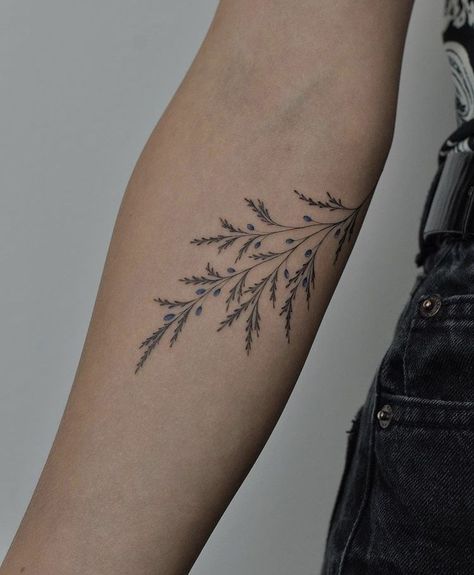 Fine Line Juniper Tattoo, Juniper Plant Tattoo, Botanical Wrap Around Tattoo, Juniper Leaf Tattoo, Juniper Tattoo Branches, Evergreen Branch Tattoo, Delicate Fern Tattoo, Fern Wrap Around Tattoo, Juniper Branch Tattoo