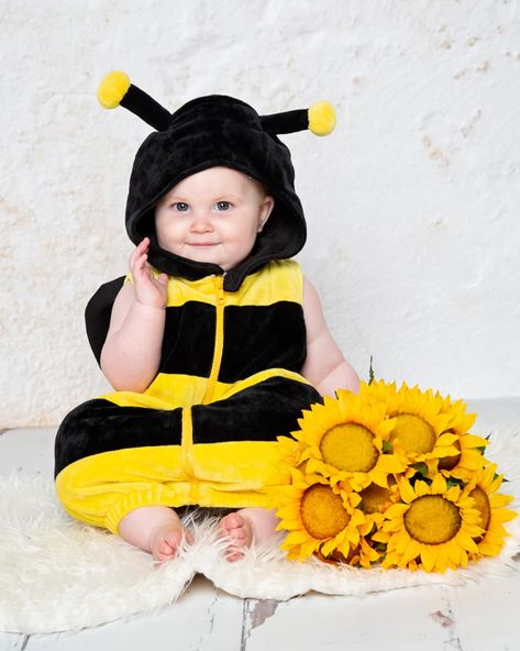 You can only imagine my joy when a client selected my bumble bee outfit to include as part of their photo shoot! Such a fun dress up costume! Bumble bees do need attention as they are so important for us so we made sure we paid this bee extra special attention by giving him a nice bunch of sunflowers to sit with so he felt right at home! Of course it was just a short part of the session but I do have a range of outfits that you��’re welcome to pick from to include in your photo shoot... Baby Bumble Bee Costume, Bumble Bee Outfit, Bunch Of Sunflowers, Bee Outfit, Baby Bumble Bee, Bumble Bee Costume, Baby Calendar, Bee Costume, Up Costume